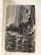 Louis FIGUIER : La Vie et les moeurs des animaux - Les poissons les reptiles et les oiseaux, deuxième édition, chez Hachette 1869 + La Terre avant le déluge, septième édition, chez Hachette 1874. : photo