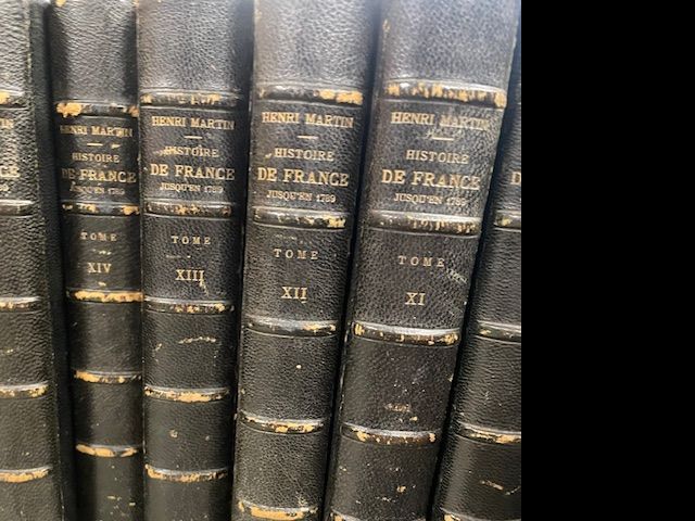 Les 17 tomes de "Histoire de France jusqu'en 1789" par Henri Martin chez Furne, Jouvet et compagnie éditeurs. 1878